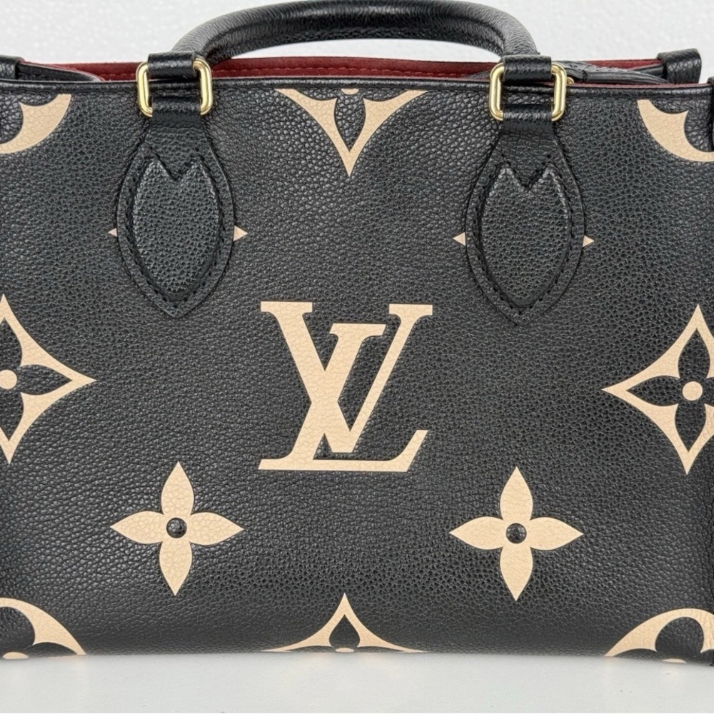 Louis Vuitton Black and Tan Women's Bag